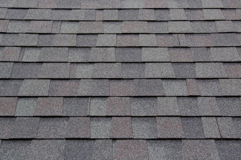 Asphalt Shingle Replacement detail