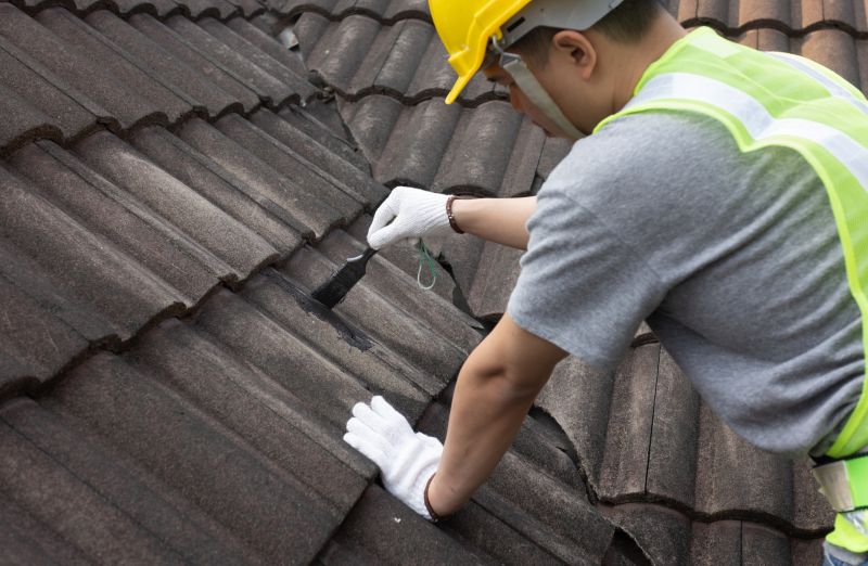 Roof Repair in Moderate Climate