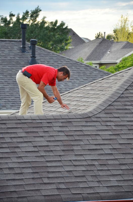 Roofing professionals inspecting a roof